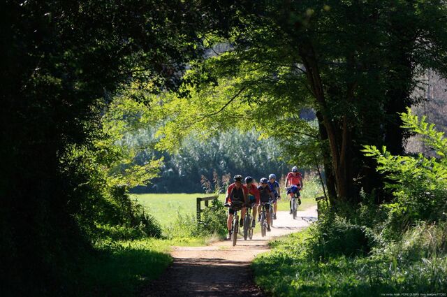 Hôtels adaptés au cyclotourisme