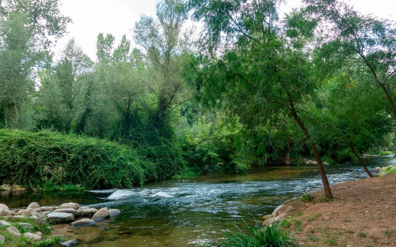 Vies Verdes Ruta del Carrilet