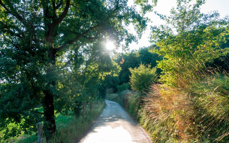 Vies Verdes Ruta del Ferro i del CarbÃ³