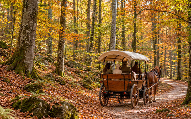 Excursión con niños en La Fageda d’en Jordà