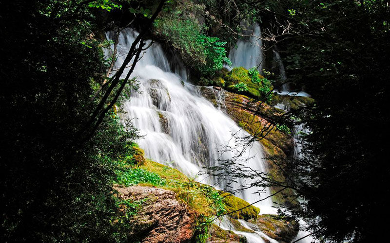 Excursión con niños en Fonts del Llobregat