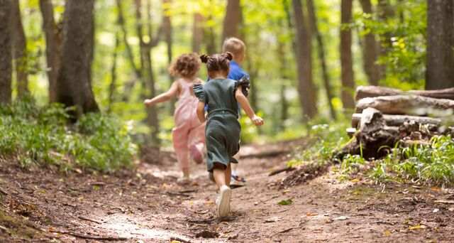 Walks and day trips with children in Catalonia to enjoy as a family