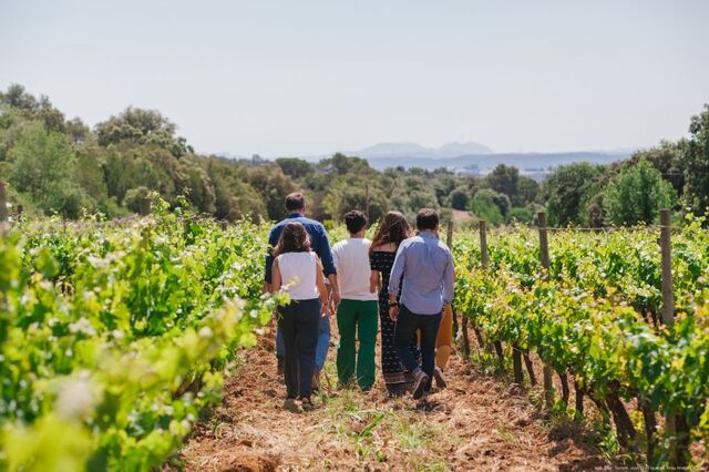 Hotels between vineyards and vines