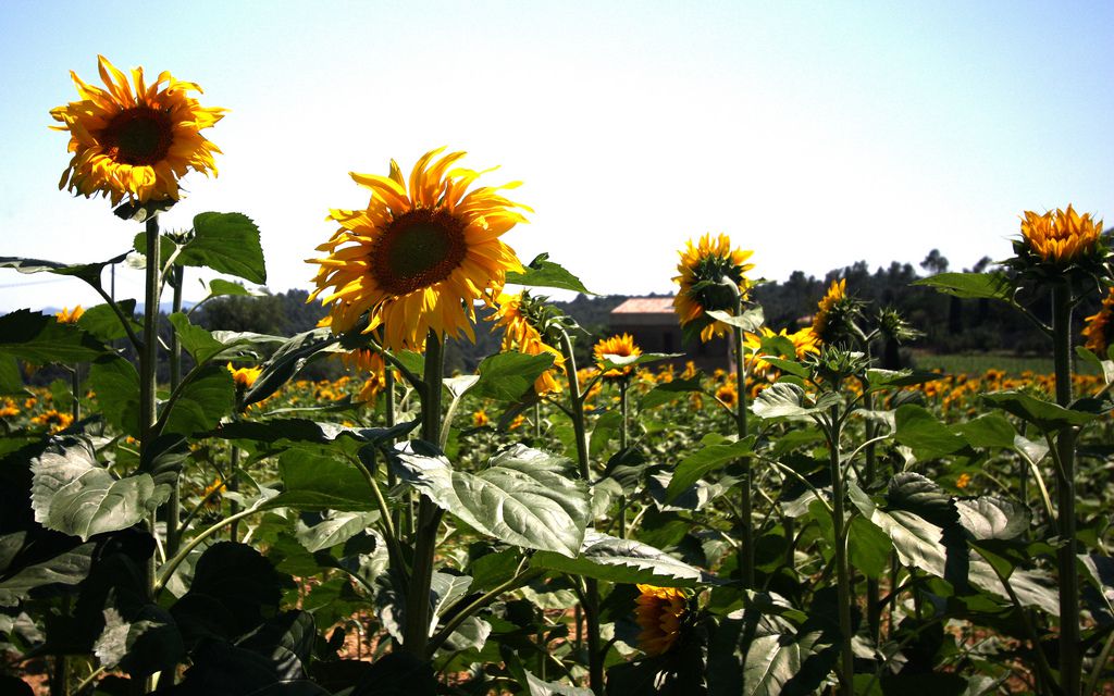 Els pobles amb mÃ©s encant de lâ€™EmpordÃ , com arribar?