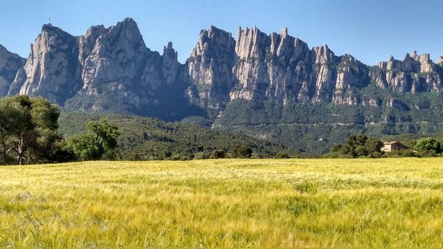 El cor de Catalunya: Manresa, Vic i Solsona