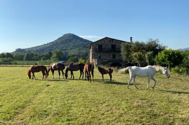 Horse-riding break in La Garrotxa