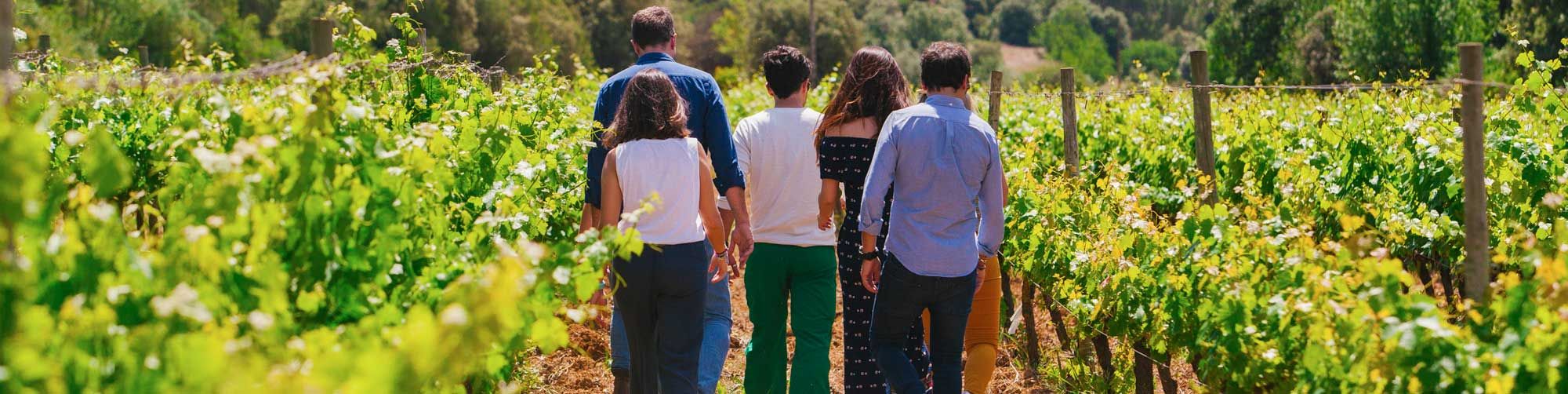 Wine Tourism in Catalunya