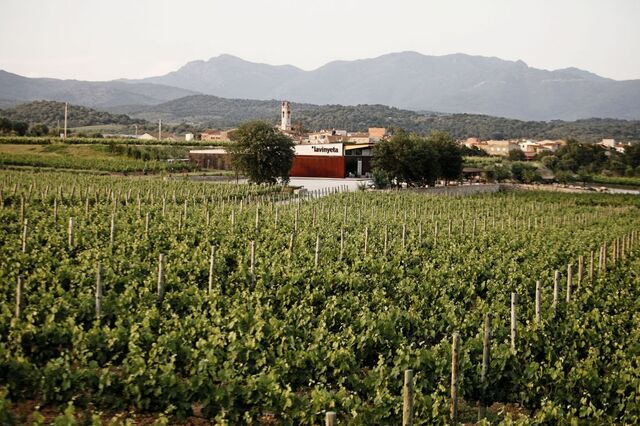 Entre vignes avec SPA à Avinyonet de Puigventós