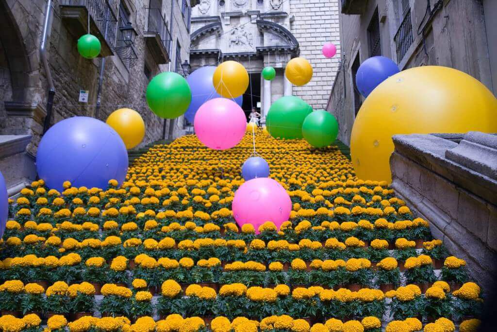 Discover Girona in "Flower Festival"
