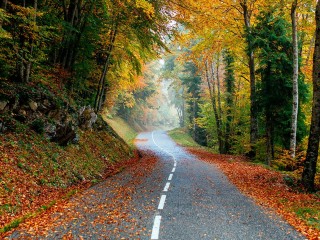 Escapadas románticas de otoño
