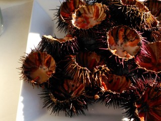 Garoinada: the gastronomic festival of Palafrugell