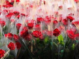 Romantic getaways around Sant Jordi