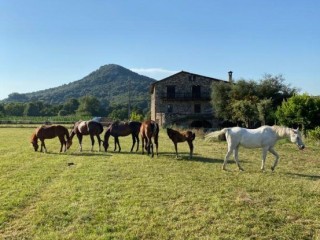 Escapade à cheval à la Garrotxa