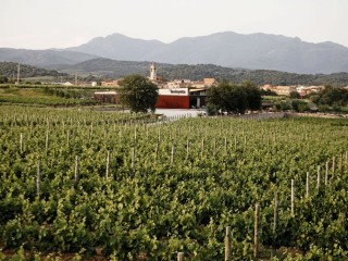 Entre vignes avec SPA à Avinyonet de Puigventós