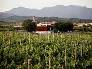 Winetourism Empordà