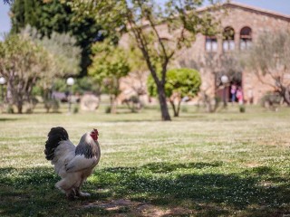 Gastronomic Break in Peratallada