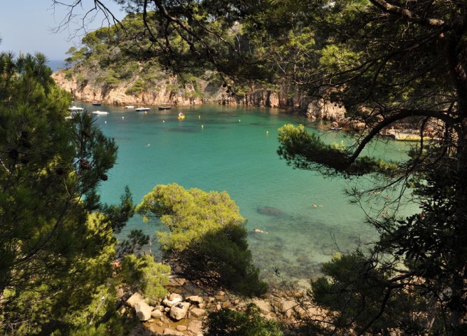 Download Millors colors del casament de platja Desktop Wallpaper Free