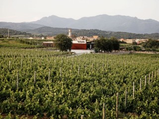 Entre viñedos con SPA en Avinyonet de Puigventós