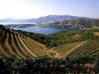 Wine Tourism in the Empordà